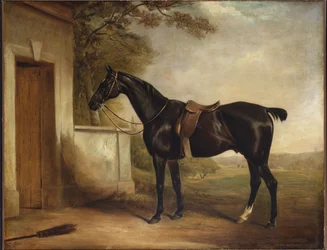 Porträt von Buckle, dem Jäger des ersten Lord Chesham, 1836