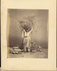 Indische Bäuerin mit Zweigen auf dem Kopf