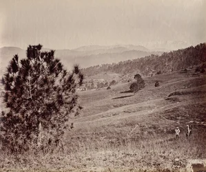 Landschaft mit Baum und drei Männern, Indien