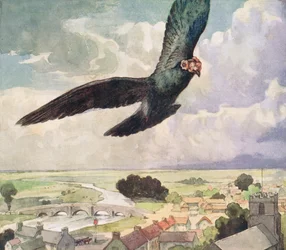 Vogel fliegt über eine Stadt, Illustration aus 