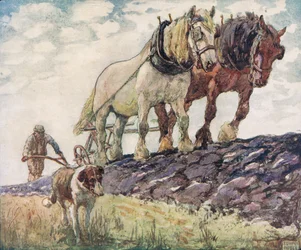 Pflügen des Feldes, Illustration aus 