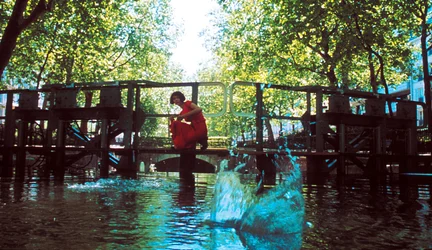 Der Adler und die Schildkröte aus 