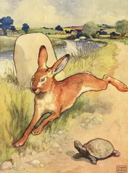 Die Schildkröte und der Hase aus 