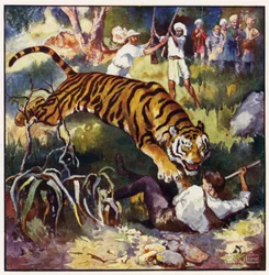 Im nächsten Moment sah ich ihn rückwärts unter die Tigerin fallen
