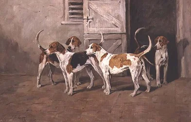 Vier Hunde an einer Stalltür