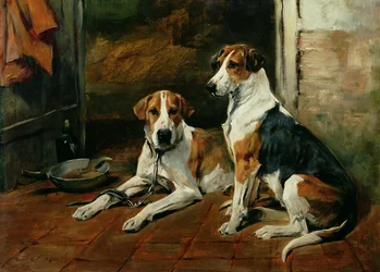 Hunde in einem Stallinneren