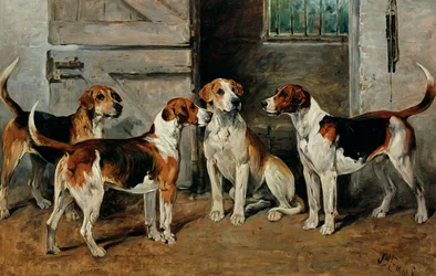 Studie von Hunden