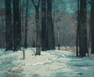 Wald im Winter