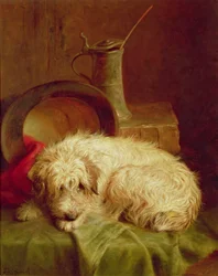 Ein Terrier