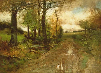 Weg durch den Wald
