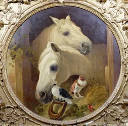 Pferde an einer Stalltür