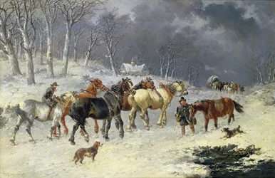 Pferde im Schnee