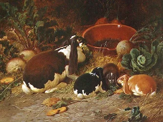 Zierkaninchen, eine Häsin mit ihren Jungen