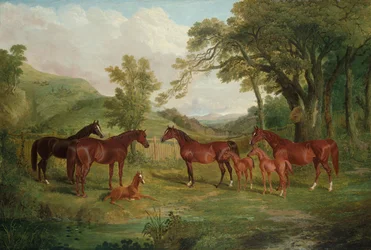 Die Streatlam-Zucht, Stuten und Fohlen, 1836