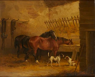 Pferde und Hunde in einem Stallinterieur