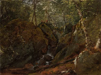 Catskill-Wasserfall