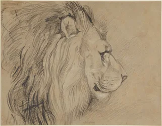 Löwe