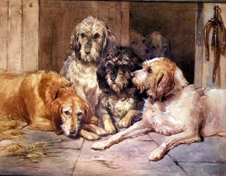 Die Otterhunde