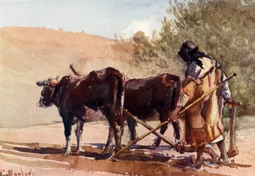 Pflügen auf dem Ölberg, 1902