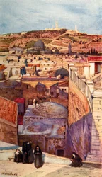 Der Ölberg von einem Hausdach auf dem Berg Zion, 1902