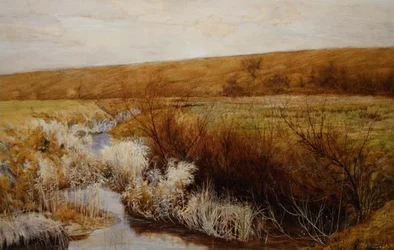 Eine Wiese im Winter