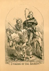 Der Widerspenstigen Zähmung