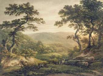 Nadelwald, Hampshire