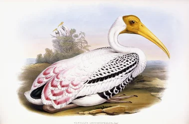 Bemalter Storch