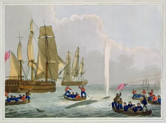 Boote nähern sich einem Wal, graviert von Matthew Dubourg, veröffentlicht von Edward Orme, 1813