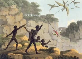Speerwerfen, Aborigines jagen Vögel aus New South Wales, graviert von Matthew Dubourg, veröffentlicht 1813