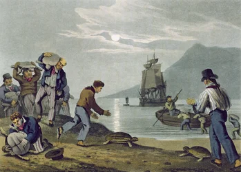 Schildkrötenfang an Land, graviert von Matthew Dubourg, veröffentlicht von Edward Orme, 1813