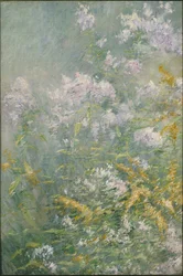Wiesenblumen (Goldrute und Wilde Aster)