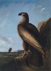 Washington-Seeadler, ca. 1836-1839