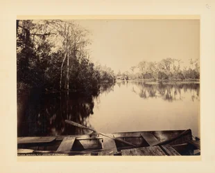 Silver Springs, Florida, flussaufwärts gesehen