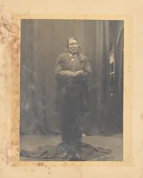 Stehender Büffel