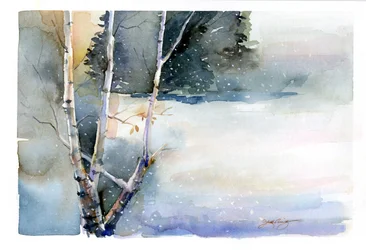 Birke im Winter, 2015