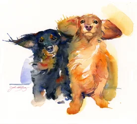 Dackel-Duo