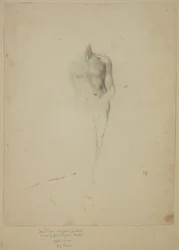 Cupidus; Studie nach