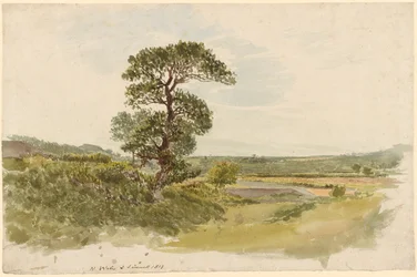 Landschaft in Snowdonia mit einem Baum im Vordergrund