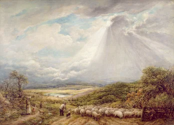 Die Herde treiben