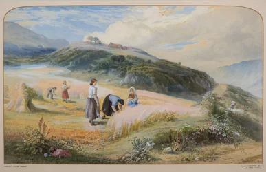 Erntefeld, Arran