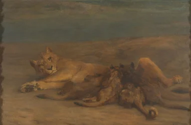 Eine Löwin mit vier säugenden Jungen
