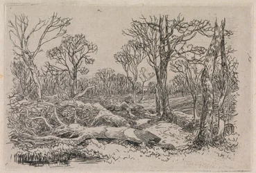 Gefälltes Holz, Burningham