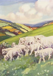 Illustration für Beautiful Joe von Marshall Saunders