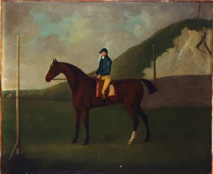 "Creeper", ein braunes Fohlen mit Jockey am Startpunkt am Running Gap im Devils Ditch, Newmarket