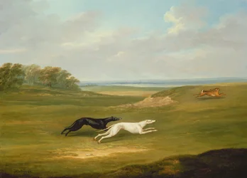Laufszene