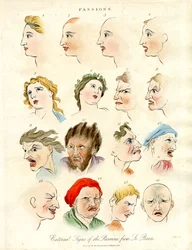 Äußere Zeichen der Leidenschaften von Le Brun