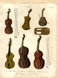 Streichinstrumente der klassischen Musik