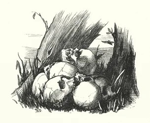 Vignette, Die Feinde Roms