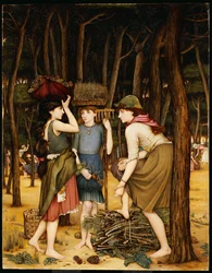 Pinienwälder bei Viareggio